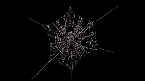 cobweb vodrip